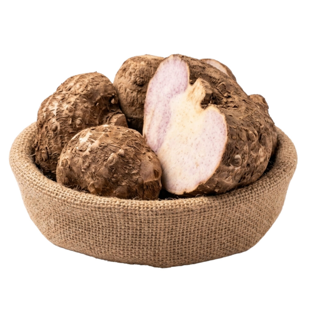 untitled design (11)